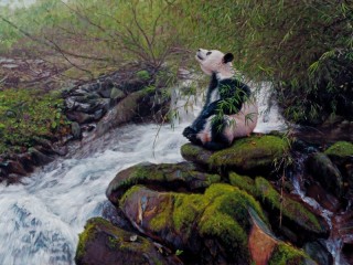 Puzzle «Panda on the shore»