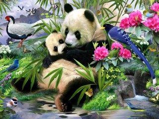 Rompicapo «Pandas and birds»