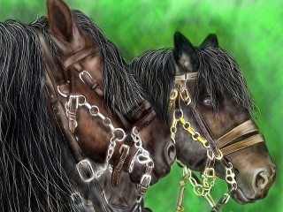 Quebra-cabeça «A pair of horses»