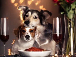 Puzzle «Couple of dogs»