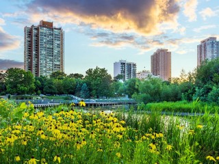 Jigsaw Puzzle «Lincoln Park Chicago»