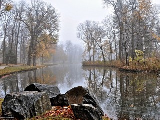 Пазл #60302