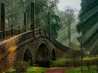 Bulmaca «Park in Scotland»
