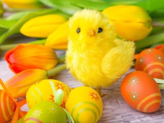 Jigsaw Puzzle «Easter Chicken»