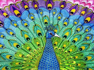 Quebra-cabeça «Peacock»