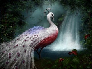 Jigsaw Puzzle «Peacock in the jungle»