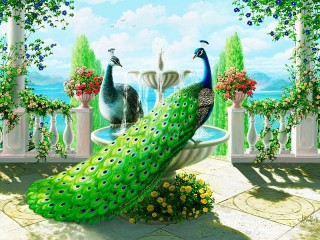 Jigsaw Puzzle «Peacocks on the terrace»