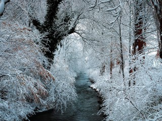 Rompecabezas «Winter»