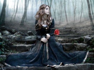 Пазл «The sad rose»