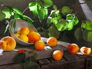 Пазл «Персики и абрикосы»