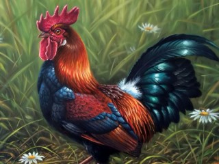 Jigsaw Puzzle «Rooster»
