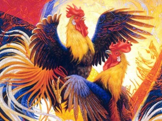 Rompicapo «Cocks»