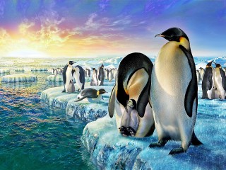 Slagalica «Pingvini»