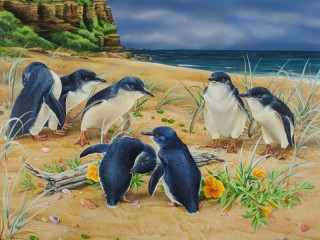 Пазл «Пингвины у моря»