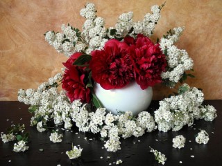Jigsaw Puzzle «Peonies and spiraea»