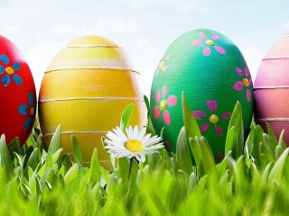 Quebra-cabeça «Easter eggs and daisy»