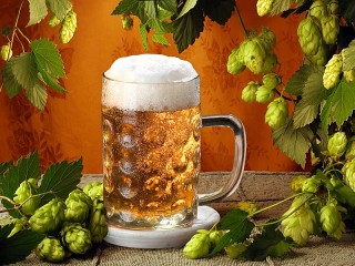 Пазл «Beer and hop»