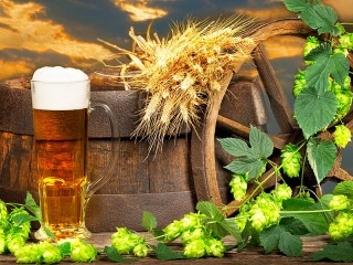 Slagalica «Beer and hops»