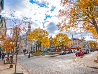 Jigsaw Puzzle «Area in Quebec»