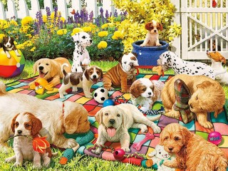 Jigsaw Puzzle «Playground for puppies»