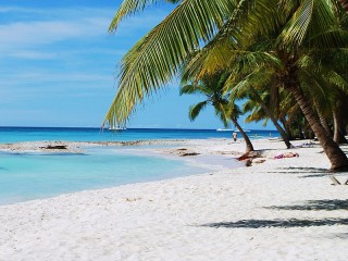 Пазл «Пляж под пальмами»