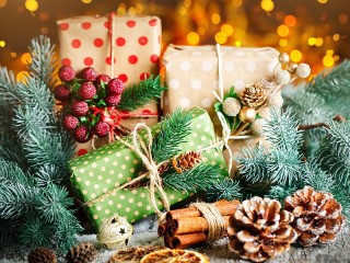 Jigsaw Puzzle «Gifts»