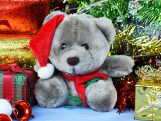 Rätsel «Gift bear»
