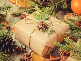 Puzzle «Gift under the Christmas tree»