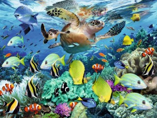 Jigsaw Puzzle «Underwater world»