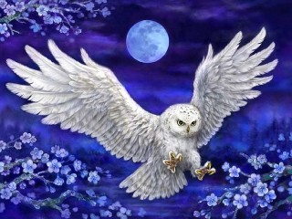 Jigsaw Puzzle «Flying owls»