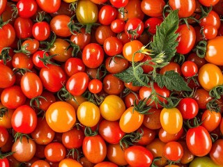Rätsel «Tomatoes»