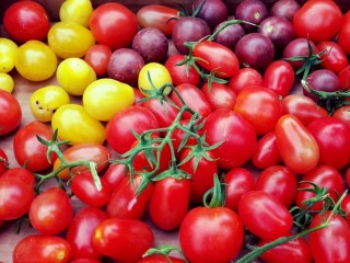 Zagadka «Tomatoes»