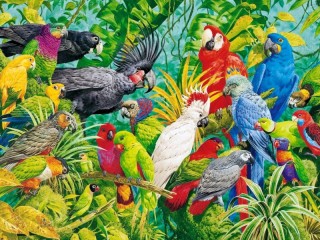 Jigsaw Puzzle «parrots»