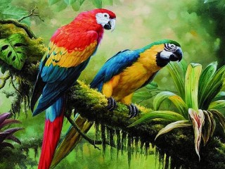 Пазл «Попугаи тропиков»