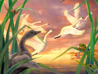 Jigsaw Puzzle «lovely swans»