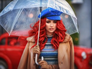 Пазл «Transparent umbrella»