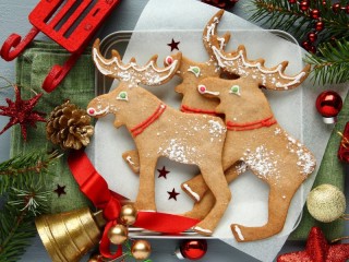 Пазл «Gingerbread moose»