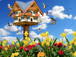 Пазл «Птичий дом»