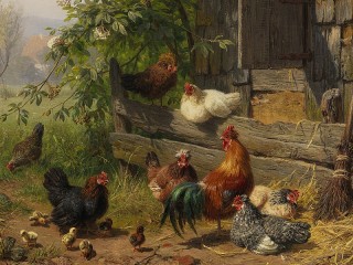 パズル «The poultry yard»