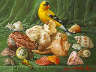Jigsaw Puzzle «Bird and shells»