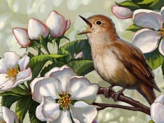 Rompicapo «Bird and flowers»