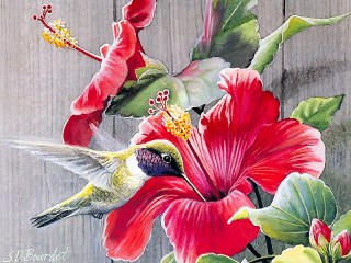 Zagadka «Bird and flowers»