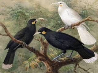Quebra-cabeça «Birds on a tree»