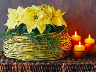 Jigsaw Puzzle «Poinsettia and candles»