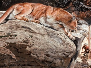 Puzzle «Puma on the rock»