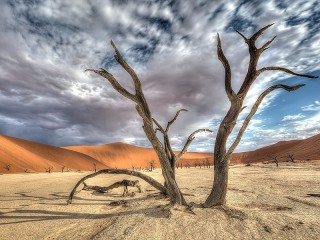 Пазл «Пустыня Намиб»