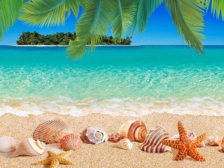 Jigsaw Puzzle «Seashells on the sand»