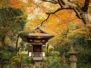 Пазл «Ранняя осень в Киото»