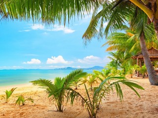 Пазл «Райский пляж»