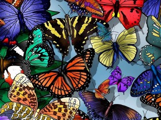 Пазл «Разноцветные бабочки»